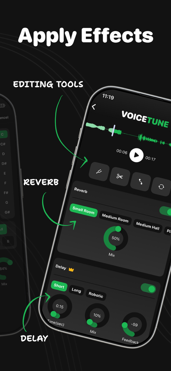 Apply vocal effects in Voice Tune — reverb rooms, delay, and audio editing tools